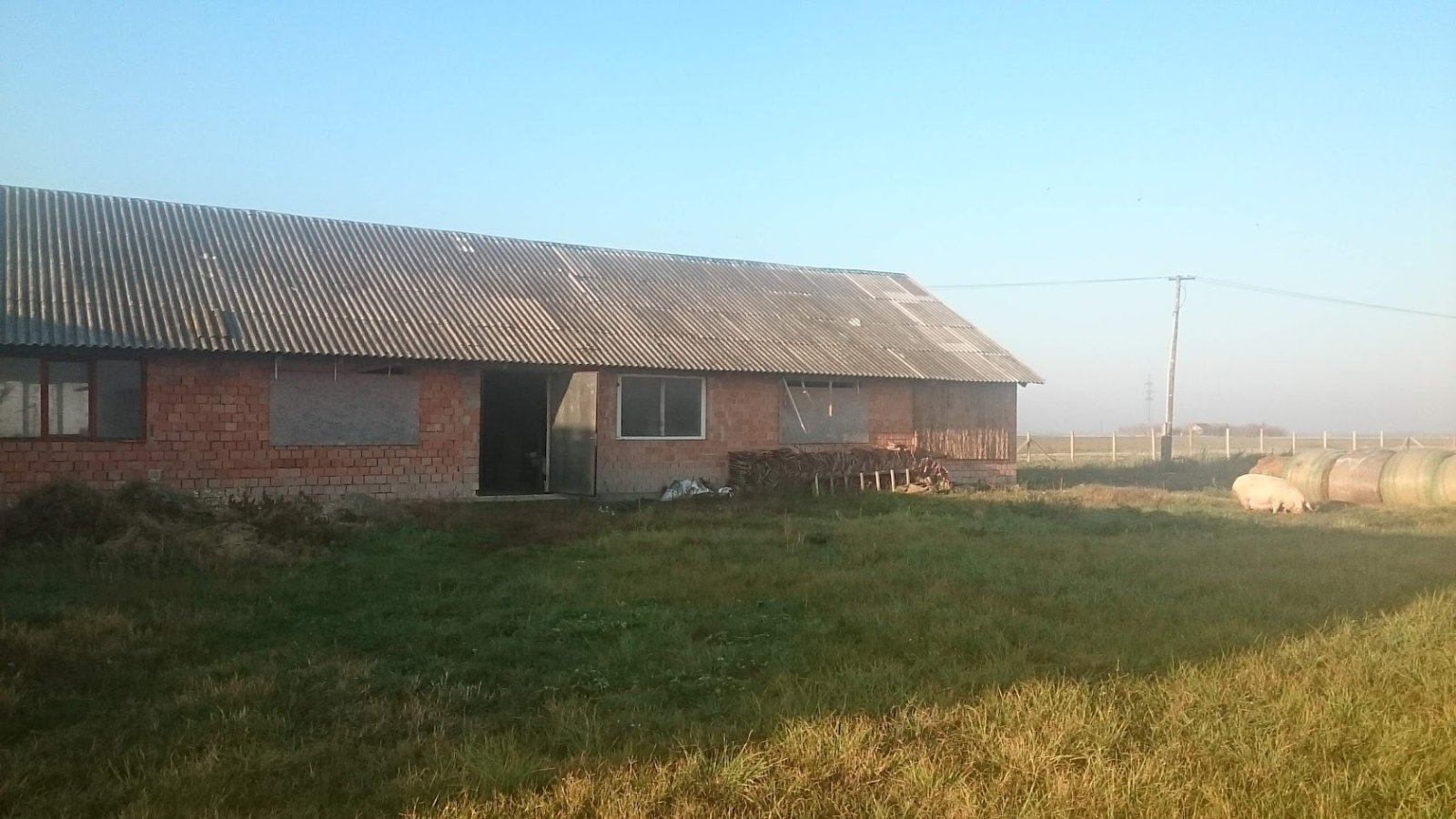 (ABA) Tanya für Tierhaltung inkl. 3 Studio-Apartments (FB0101)