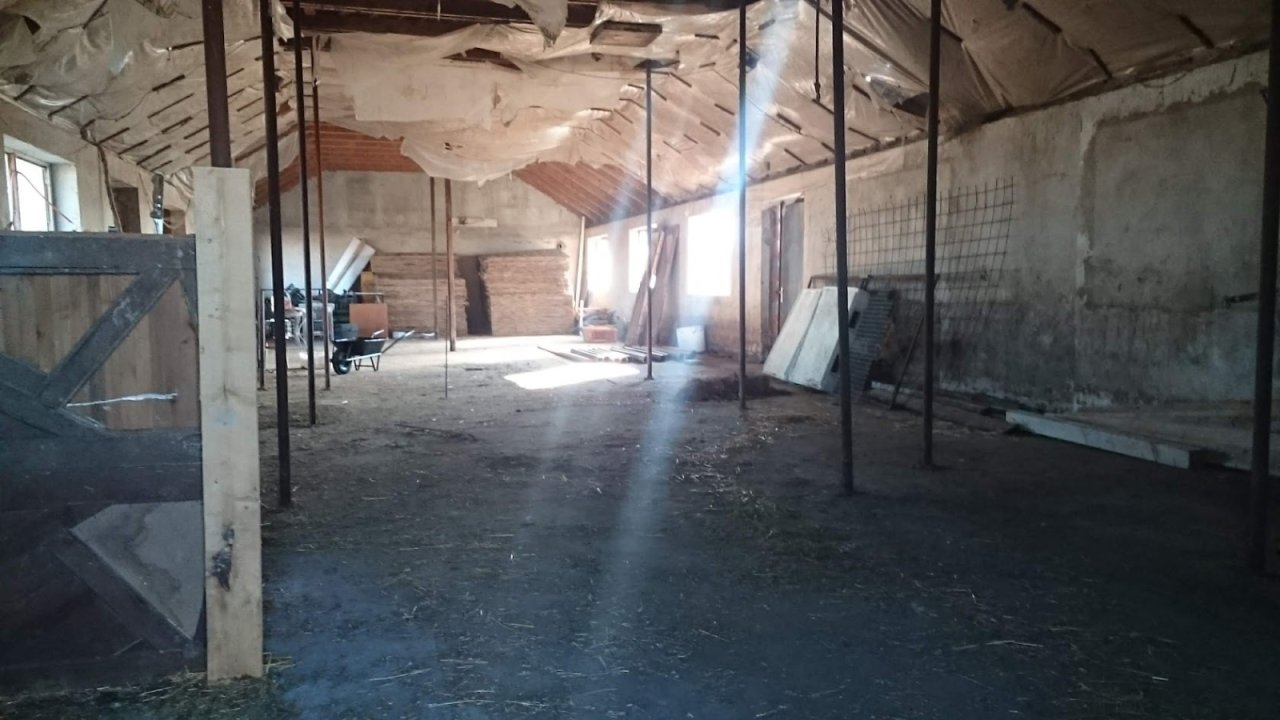 (ABA) Tanya für Tierhaltung inkl. 3 Studio-Apartments (FB0101)