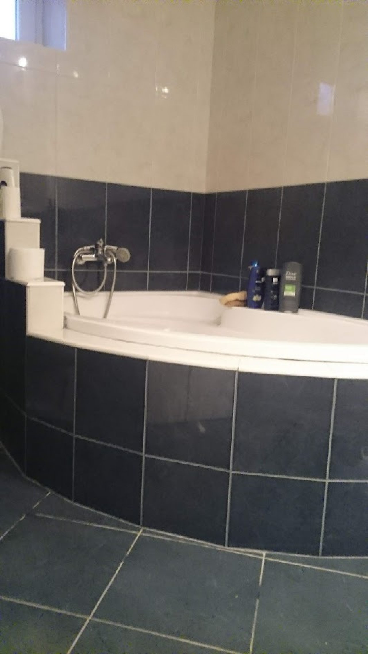 (ABA) Tanya für Tierhaltung inkl. 3 Studio-Apartments (FB0101)