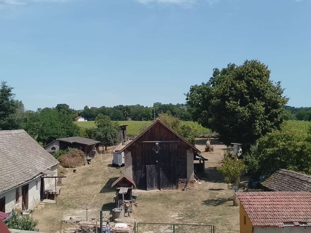(BBA) Raum für Mensch & Tier und neue Wege