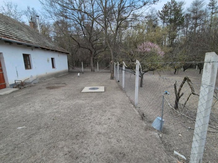 (ABA) Tanya - Alleinstehendes Bauernhaus für Tierhaltung (ROG19)