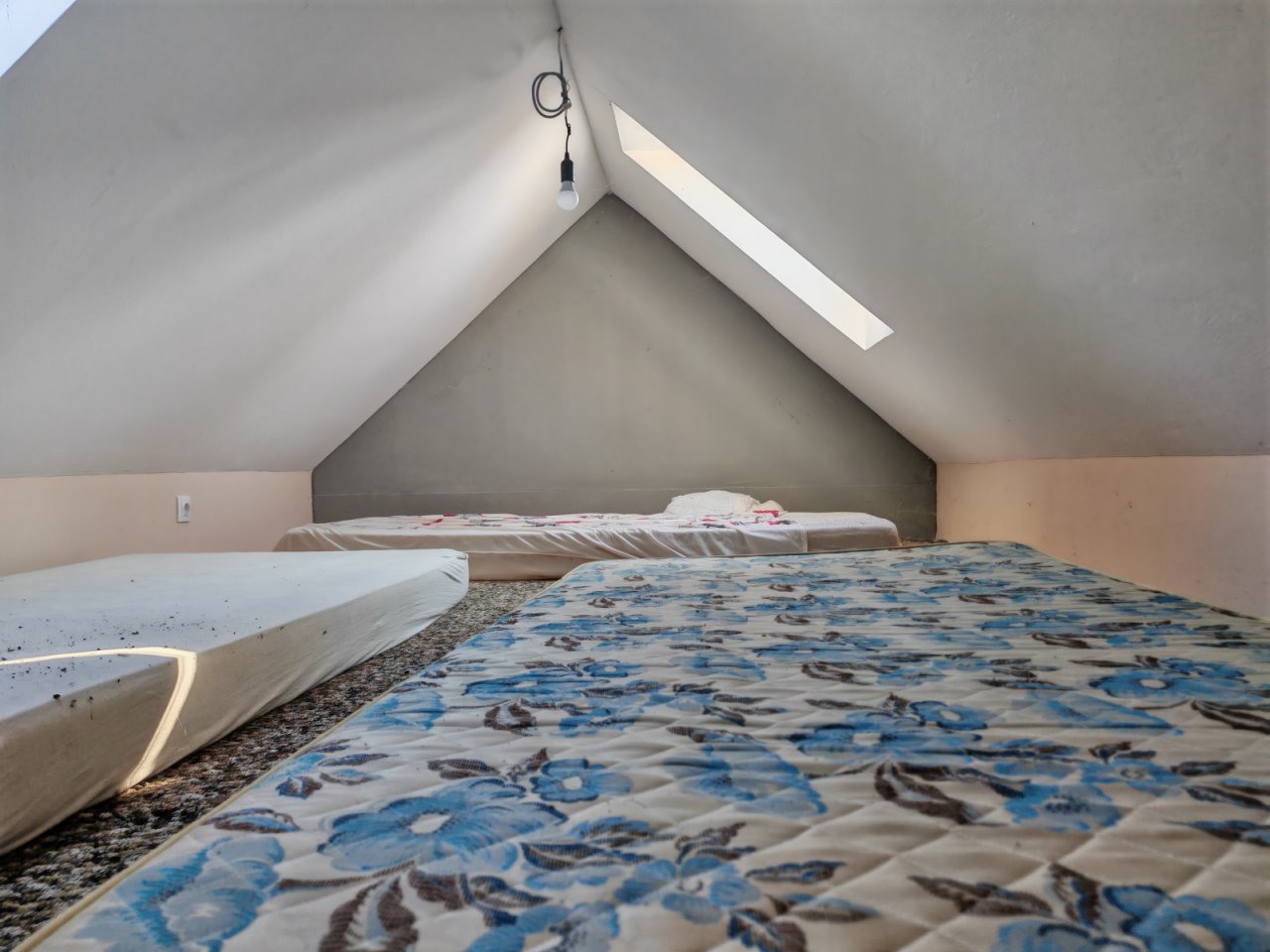 (AAA) Großes Landhaus mit Einliegerwohnung in sehr ruhiger, idyllischer Lage &amp; trotzdem zentral (CM250-2)