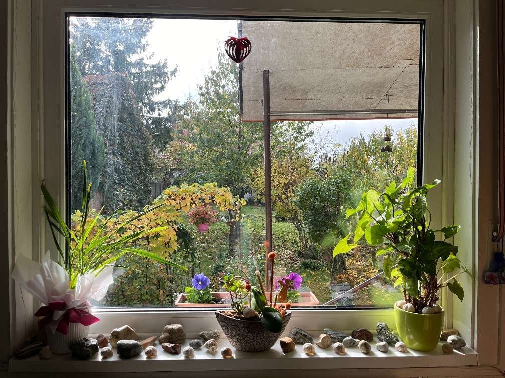 (AAA) Einfamilienhaus mit vielen Möglichkeiten (WH2800)