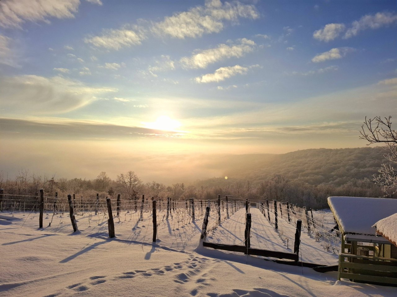 (AAA) Außergewöhnliche Anwesen vereint Natur, Ruhe &amp; Komfort mit Blick auf den Balaton (FB0120)