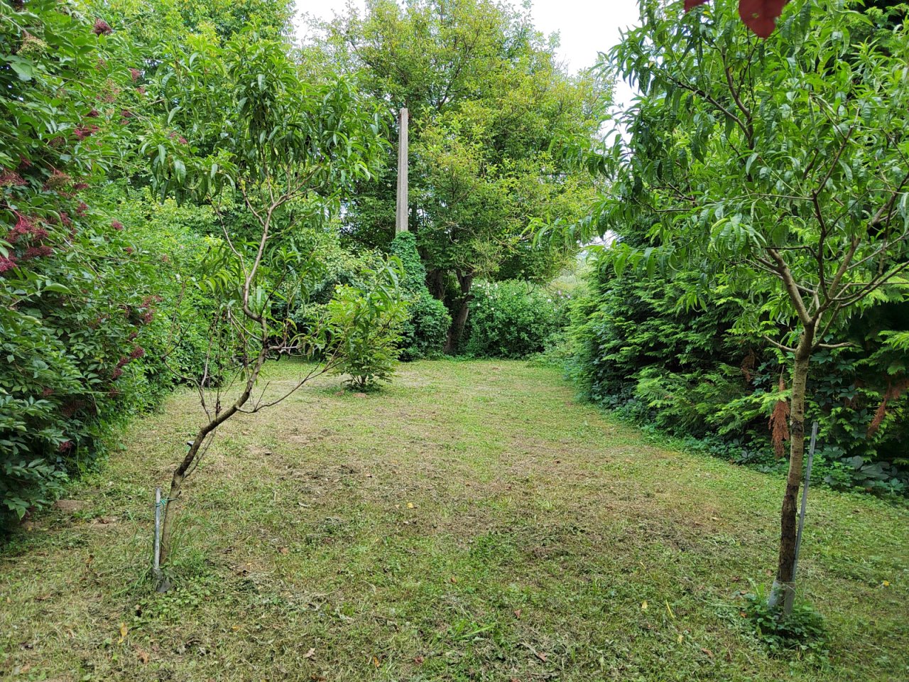 (AAA) Gästehaus mit 5 Apartments in der beliebtesten Straße des Kurorts (KE04)