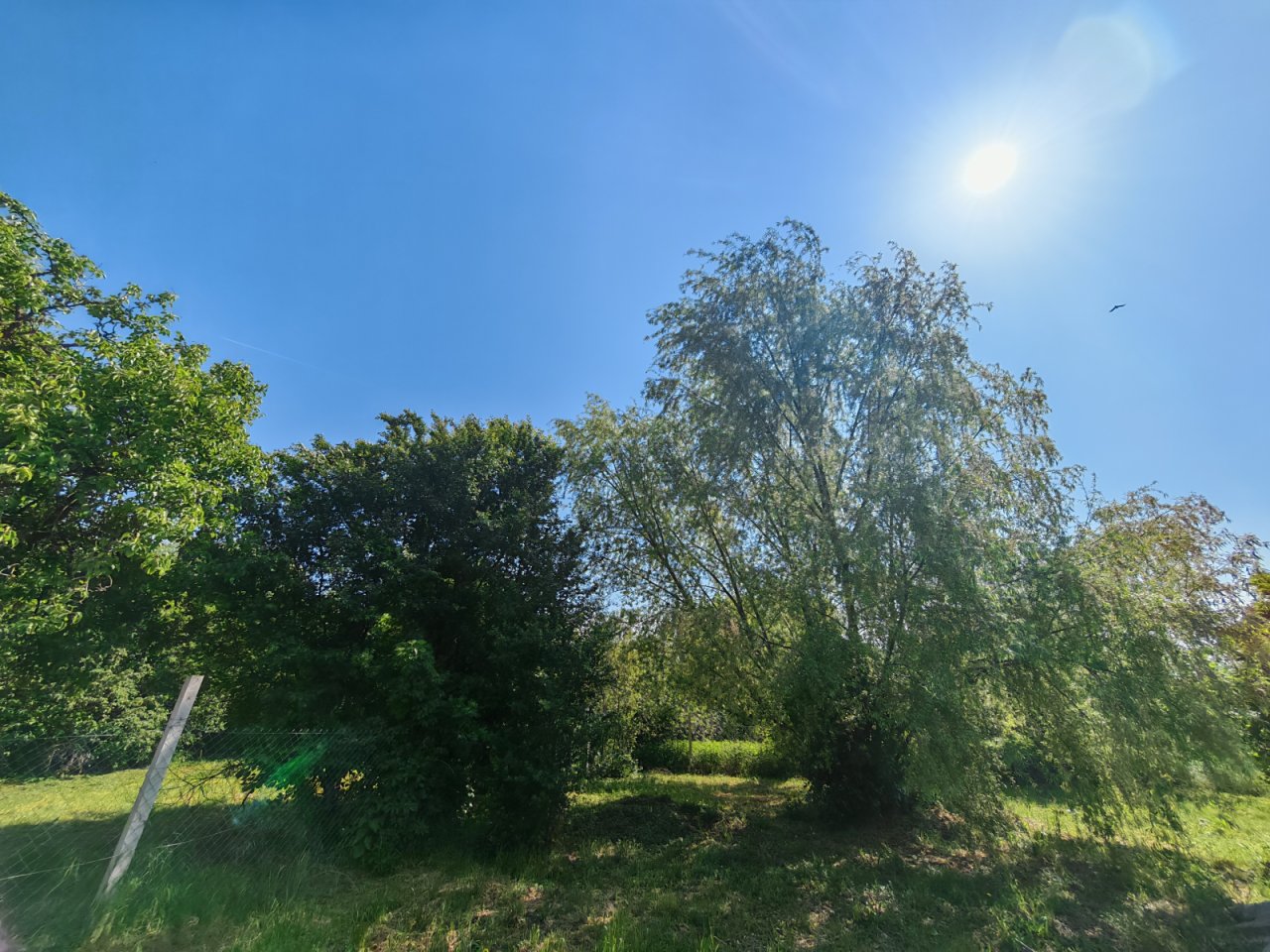 (BBA) Renoviertes Einfamilienhaus in ruhiger Lage (BB5593)