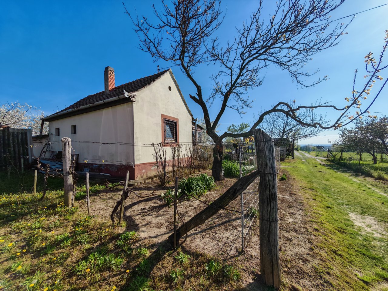 (ABA) Weinberghaus in ruhiger Lage (BB0903)