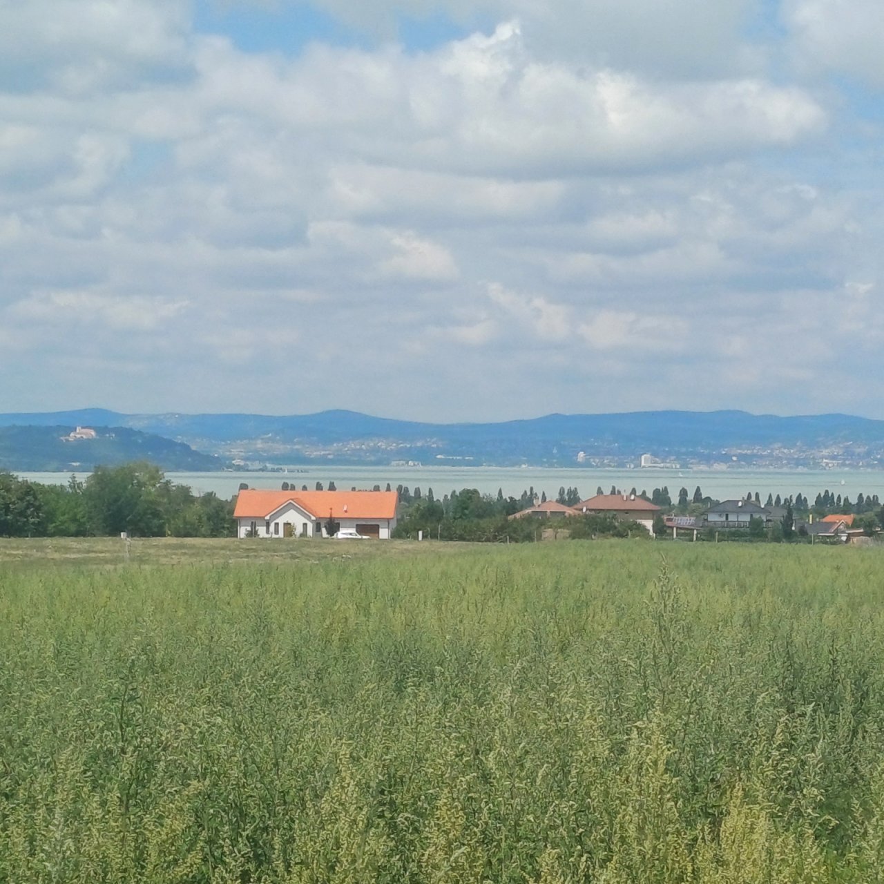 (A-A) 50 Bau-Grundstücke mit Balatonblick; Ideal für den Bauträger mit Weitblick (KE1058)