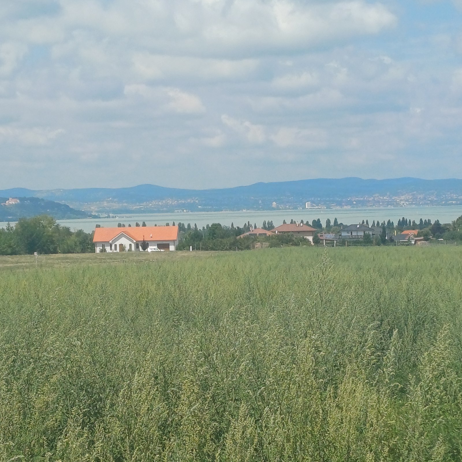 (A-A) 50 Bau-Grundstücke mit Balatonblick; Ideal für den Bauträger mit Weitblick
