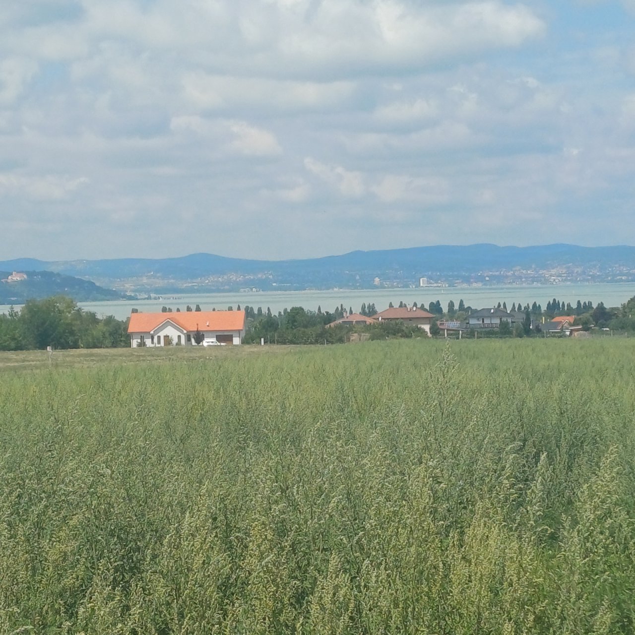 (A-A) 50 Bau-Grundstücke mit Balatonblick; Ideal für den Bauträger mit Weitblick (KE1058)