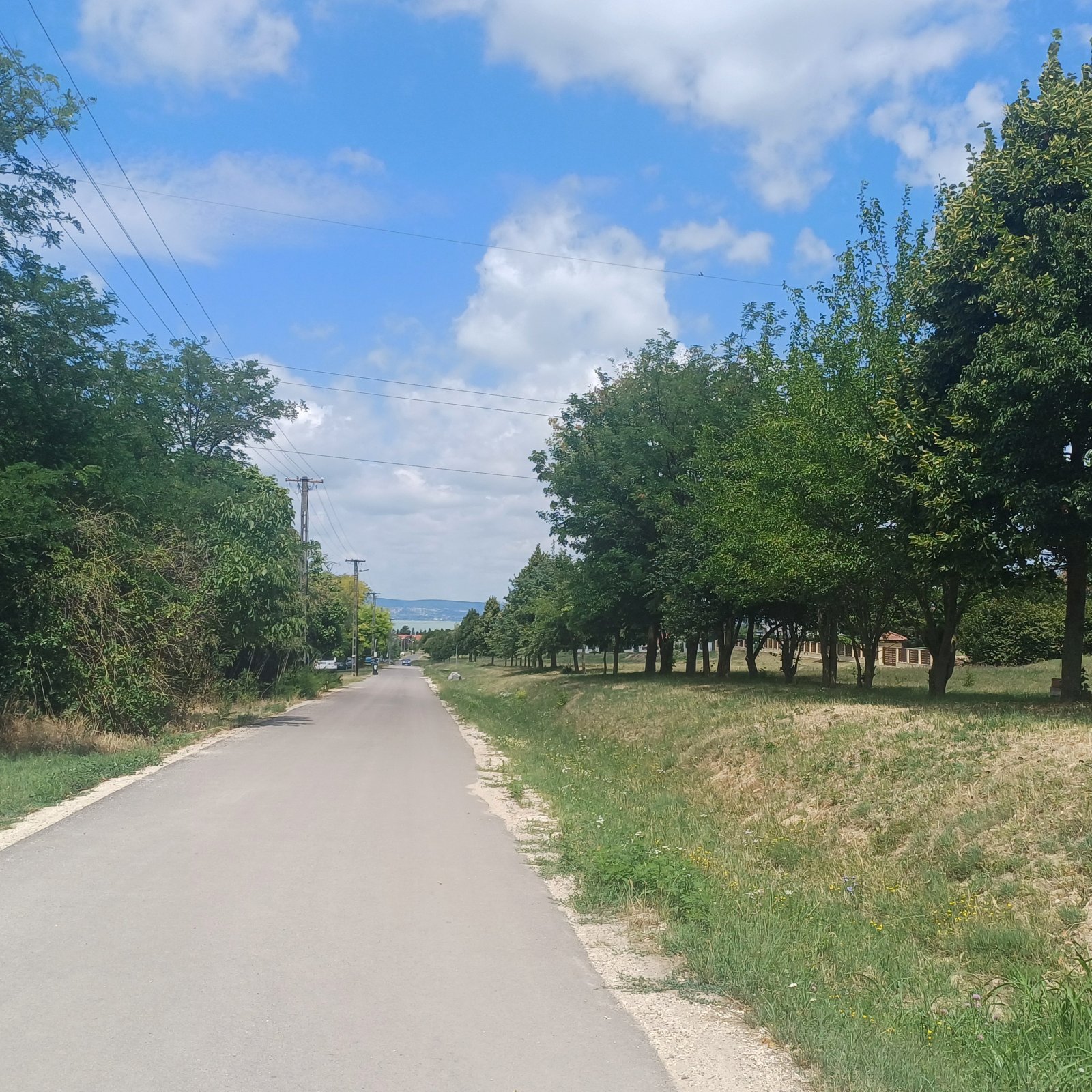 (A-A) 50 Bau-Grundstücke mit Balatonblick; Ideal für den Bauträger mit Weitblick