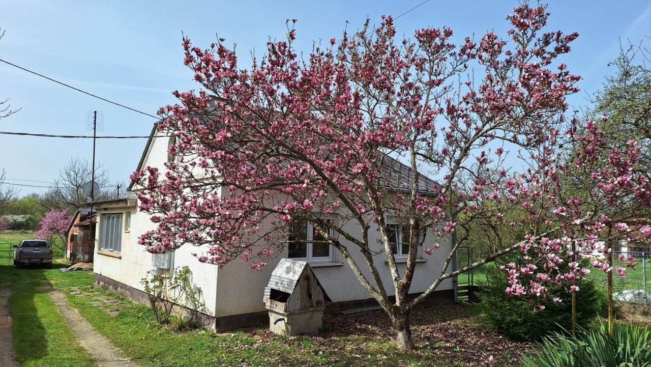 (BBA) Teilrenoviertes Einfamilienhaus in einer Ruhiger Lage (RV1500)
