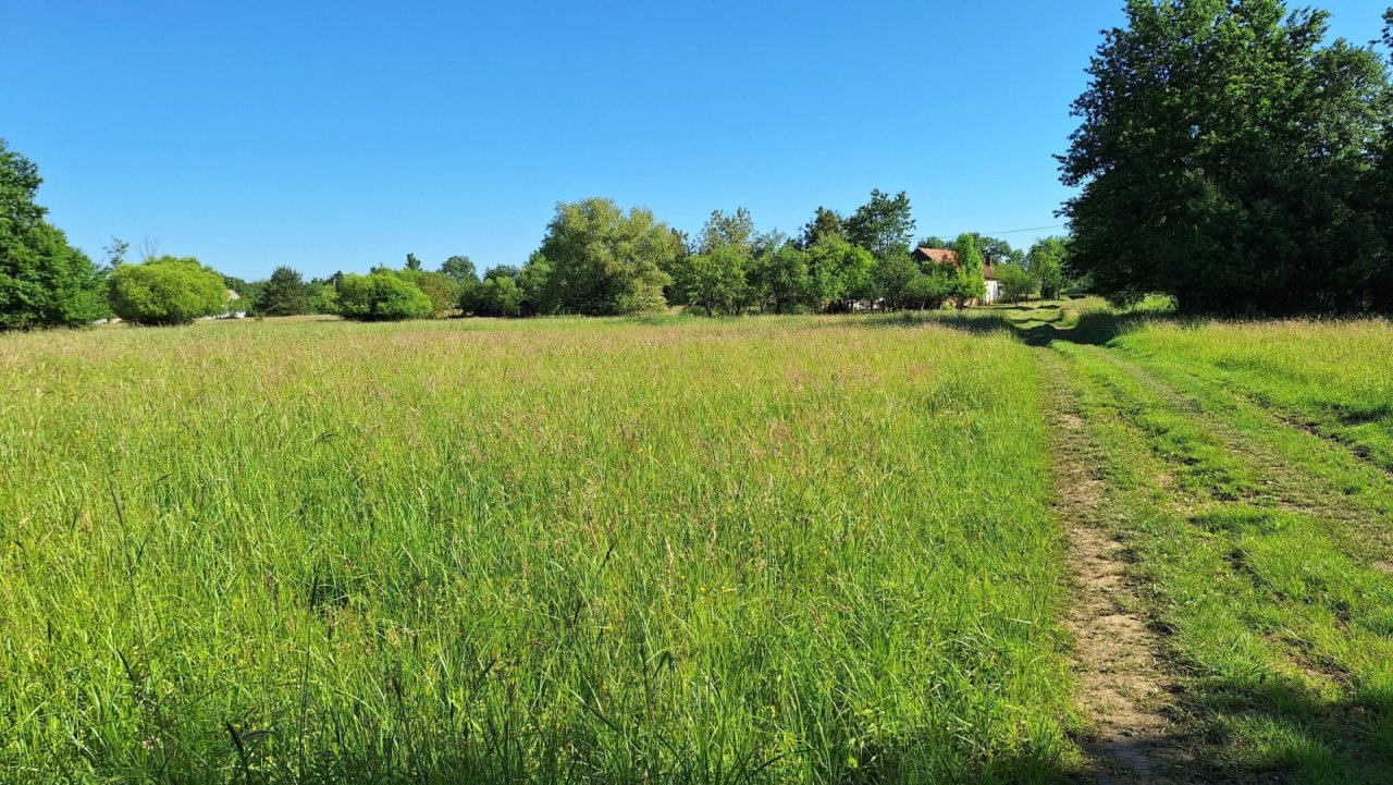 (BBA) Teilrenoviertes Einfamilienhaus in einer Ruhiger Lage (RV1500)