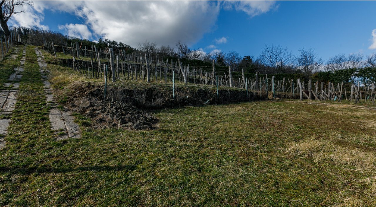 (AAA) Premium-Wohnhaus mit unvergleichlichem Panoramablick auf den Balaton (33880)