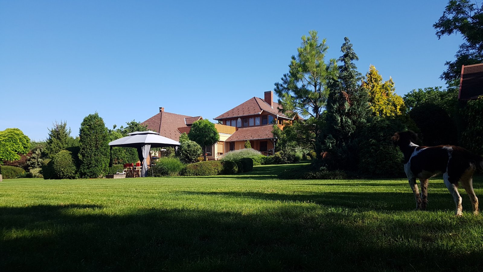 (AAA) Landhaus mit parkähnlichem Grundstück in außergewöhnlich guter Lage am Rand des Naturschutzgebietes