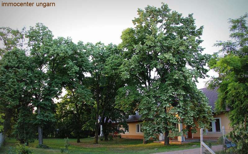 (AAA) Absolute Seltenheit: Originalgetreu renoviertes Herrenhaus aus 1860 (WH9418-8)