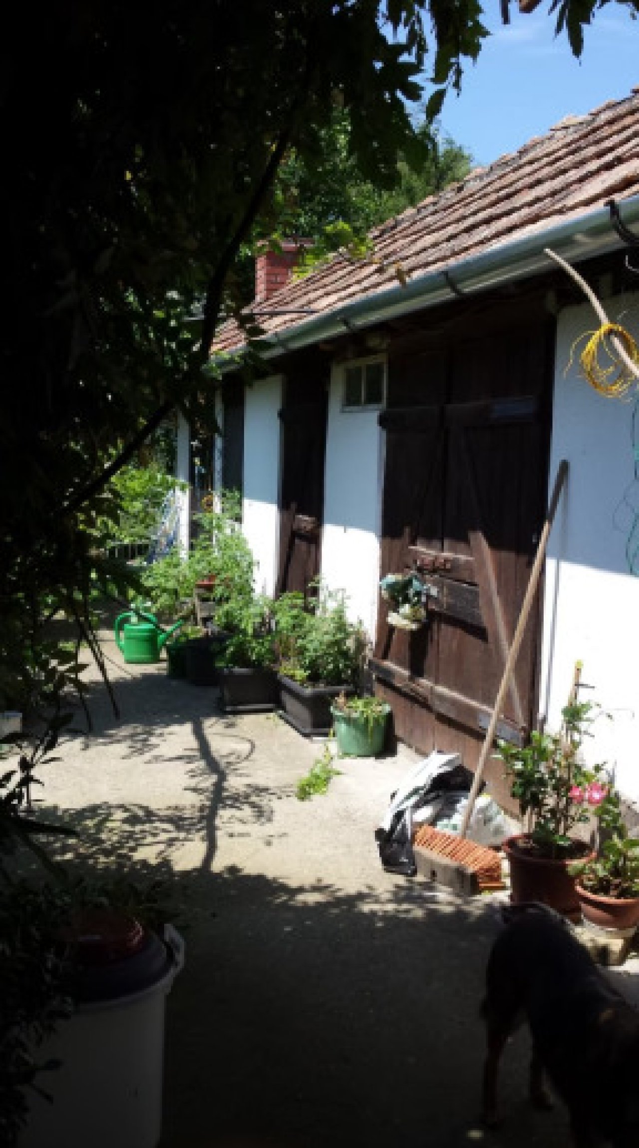 (AAA) Einfamilienhaus in ruhiger, familienfreundlicher Gegend (ANZ1859)