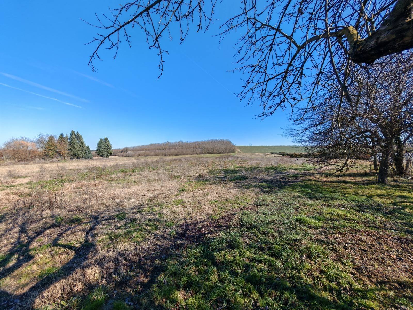 (BAA) Gemütliches Landhaus mit großem Grundstück in ruhiger Lage
