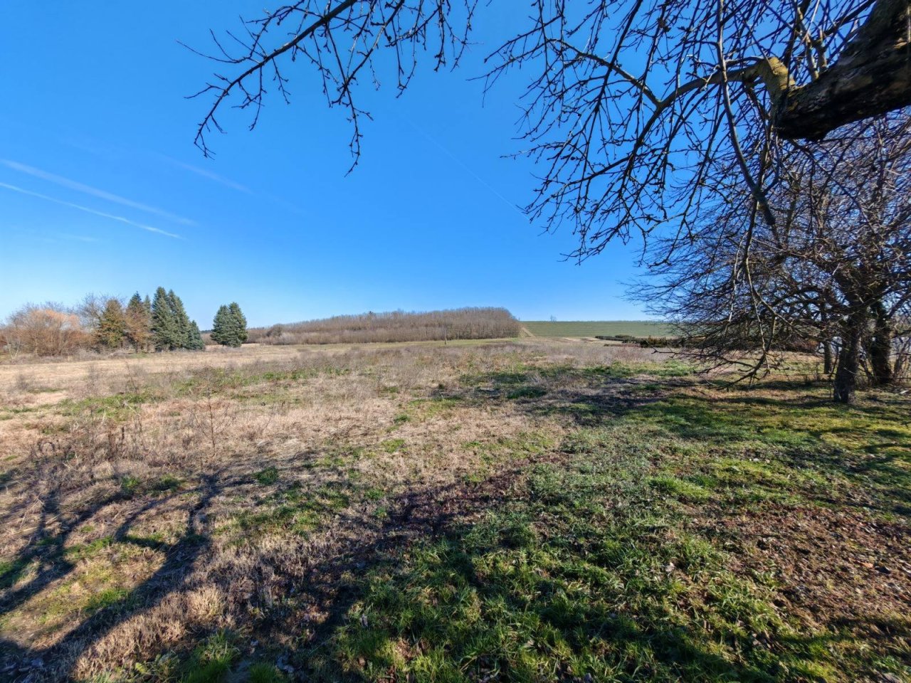 (BAA) Gemütliches Landhaus mit großem Grundstück in ruhiger Lage (KK1100)