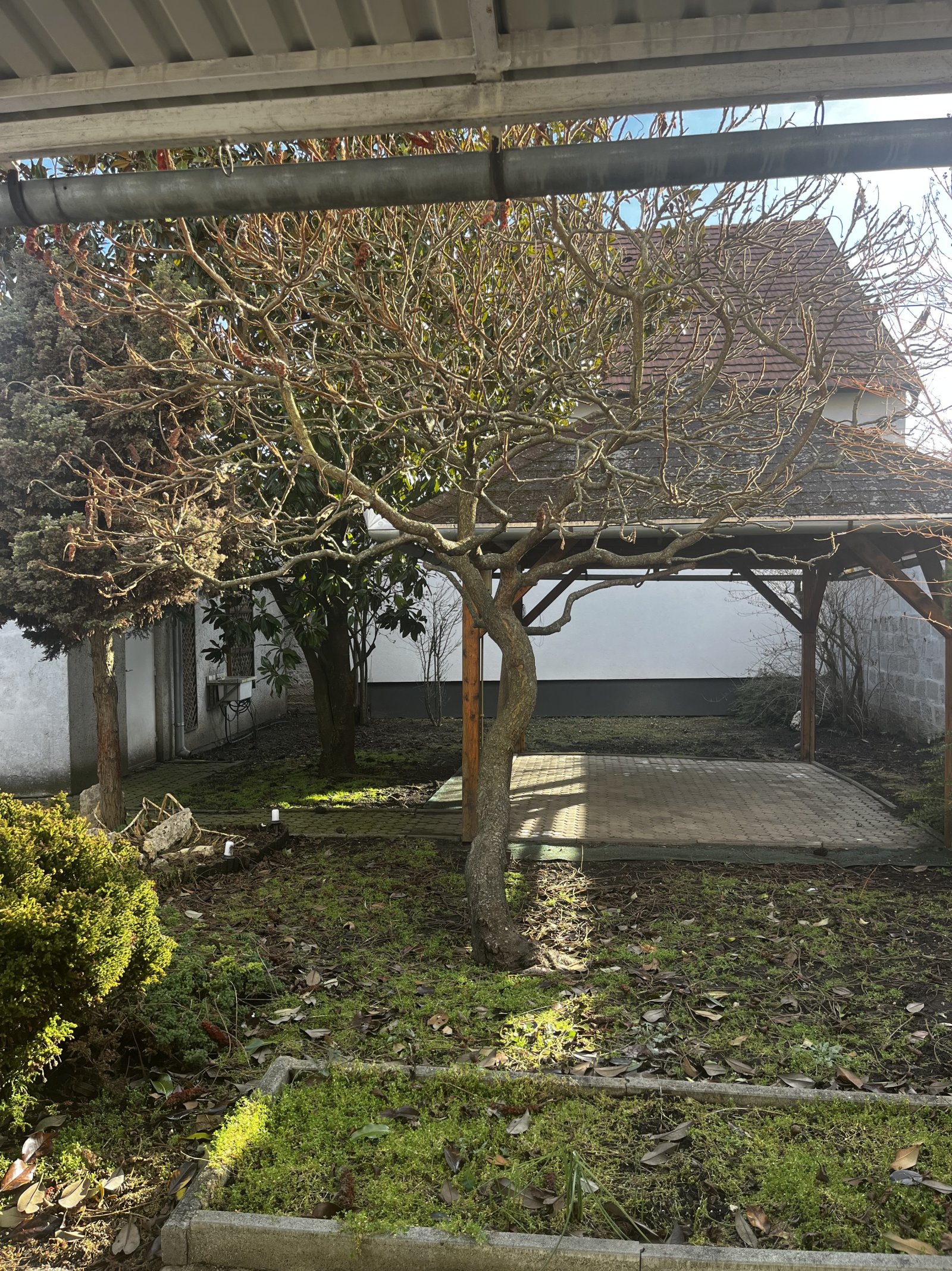 (ABA) Einfamilienhaus / Existenz mit vielfältigen Nutzungsmöglichkeiten im schönen Tapolca (KK2208)
