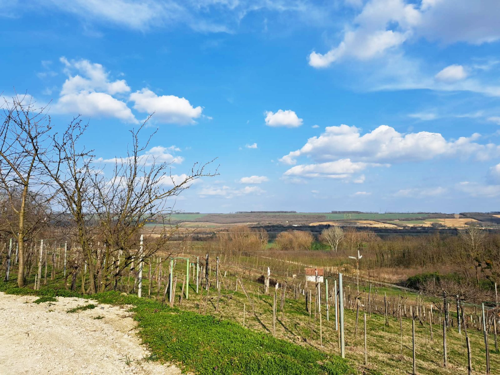 (AAA) Renoviertes Weinberghaus in ruhiger Lage (KK1948)