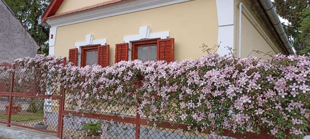 (AAA) Liebevoll renoviertes Bauernhaus in ruhiger Lage mit getrennten Apartment (AAA) (WH1158-2)