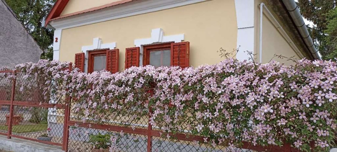 (AAA) Liebevoll renoviertes Bauernhaus in ruhiger Lage mit getrennten Apartment (AAA) (WH1158-2)