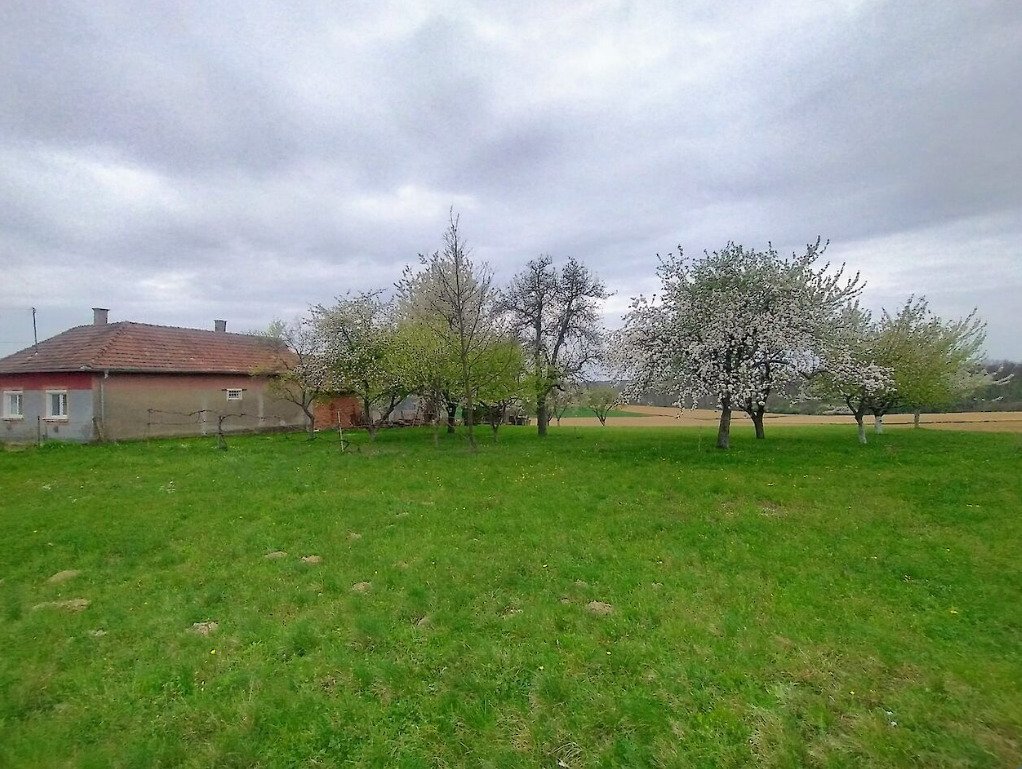 Familienhaus in ruhiger Gegend von Westungarn (RV0415)