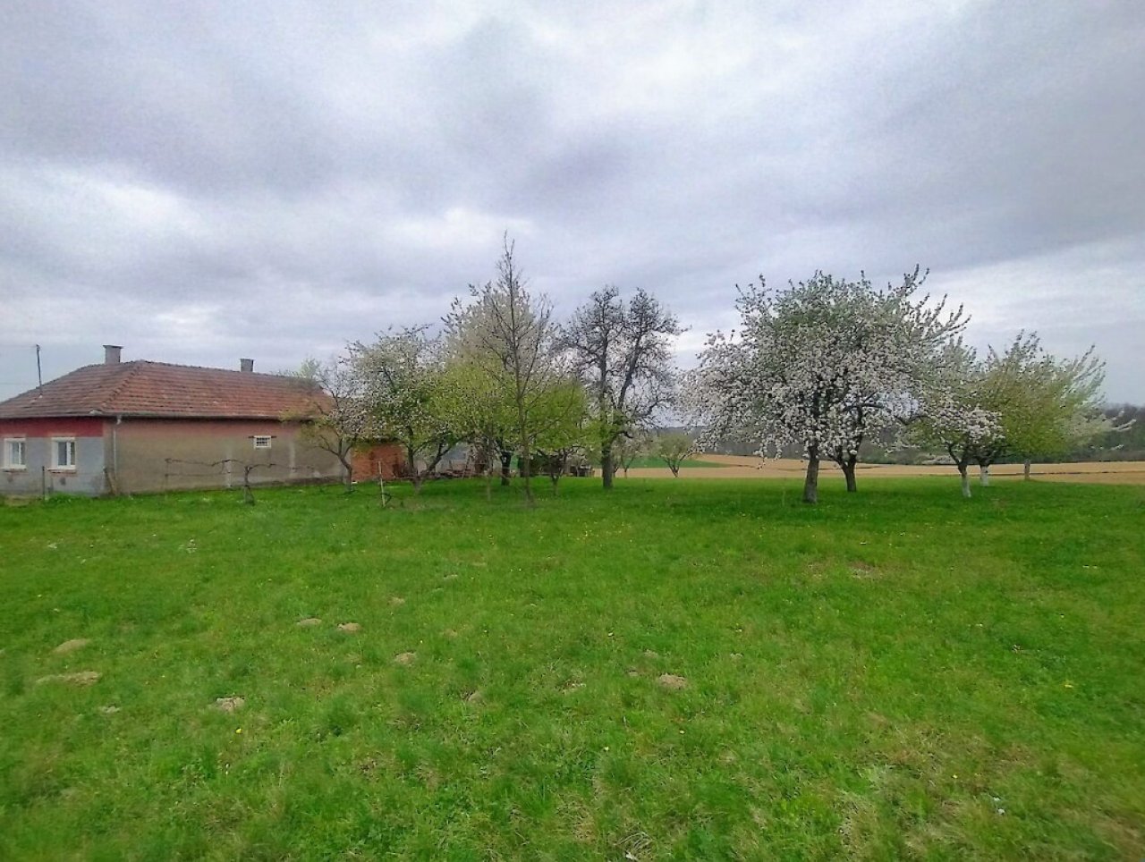Familienhaus in ruhiger Gegend von Westungarn (RV0415)