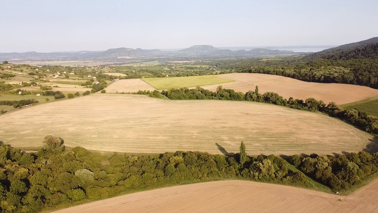 Landwirtschaftliches Anwesen für vielfältige Nutzung (BB1413)