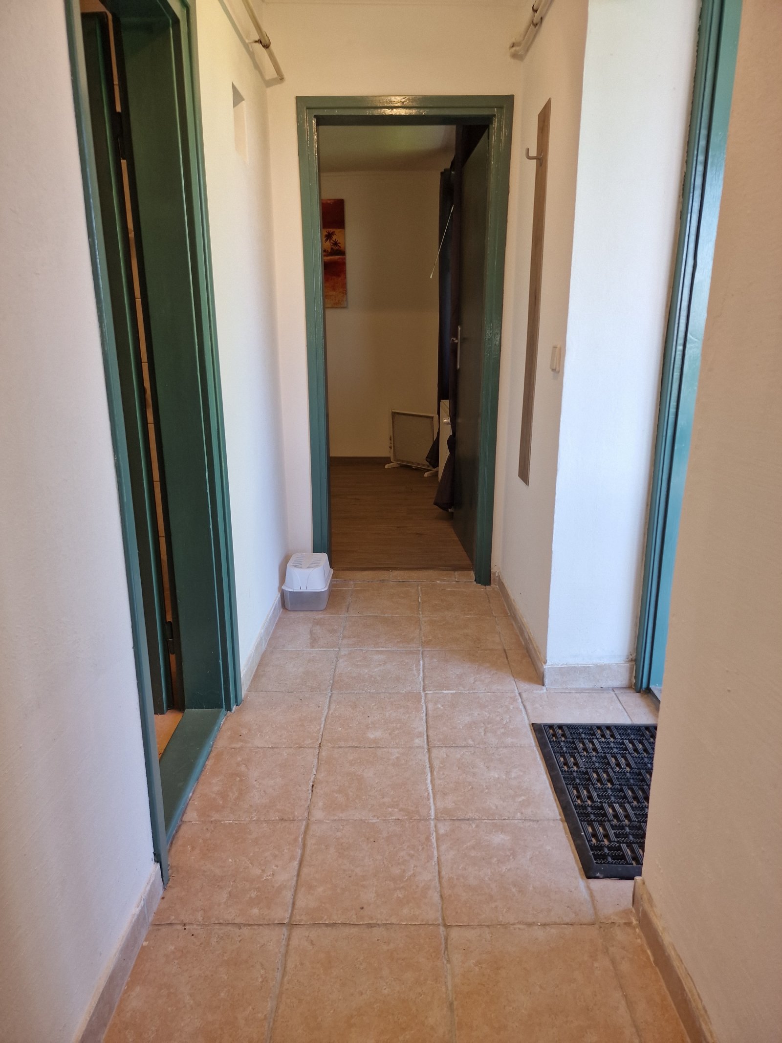 (AAA) Gemütlich, ruhig, professionell saniert, mit Gäste-Apartment am Balaton (CM104-2) — Hallway Apartment
