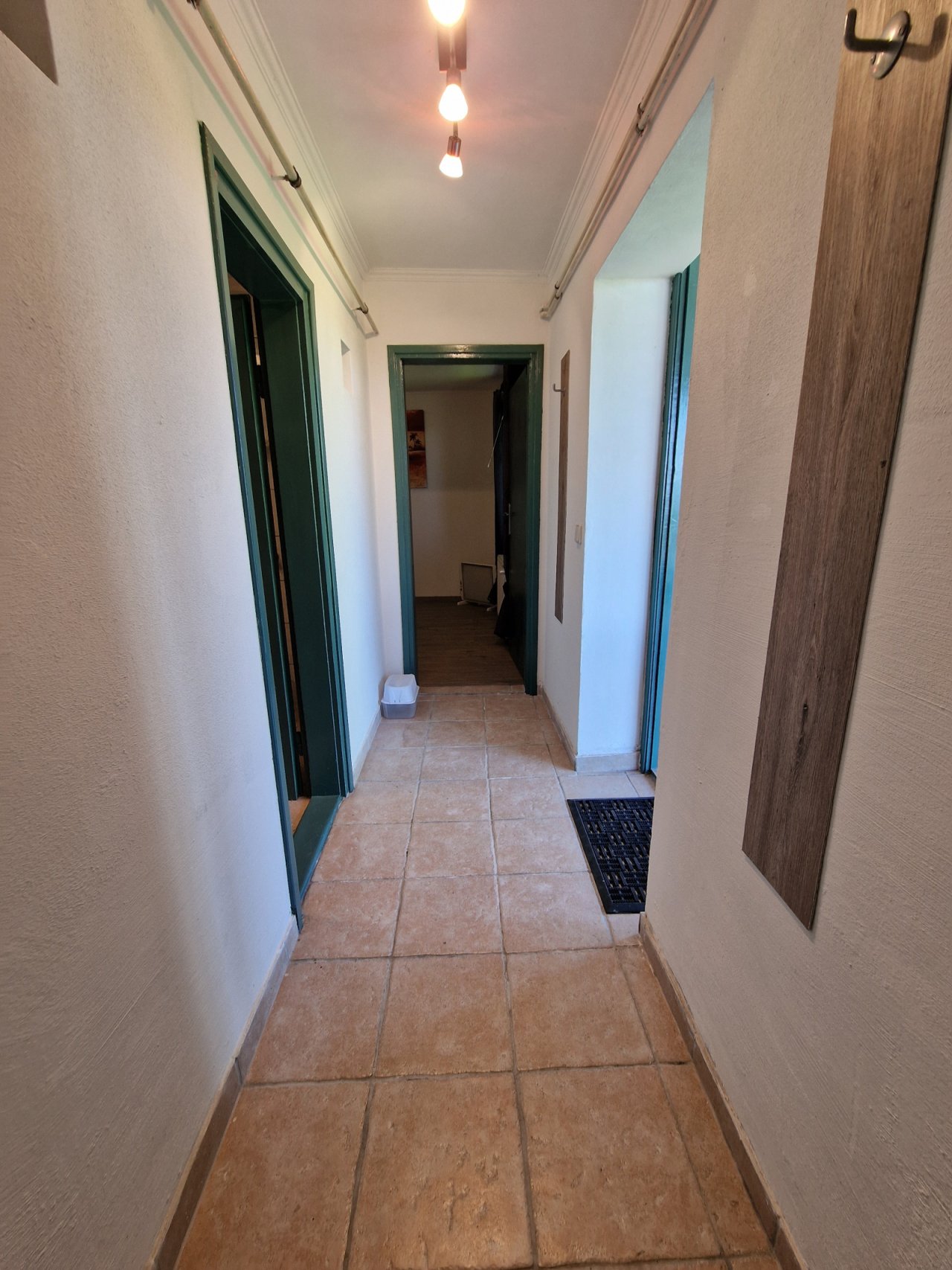 (AAA) Gemütlich, ruhig, professionell saniert, mit Gäste-Apartment am Balaton (CM104-2)