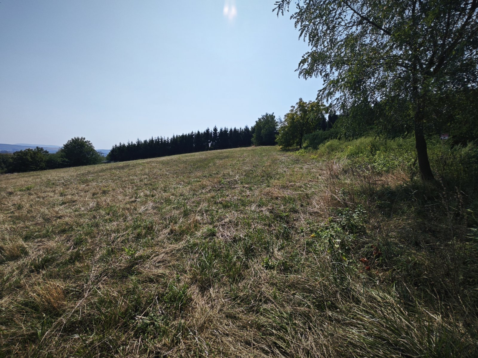 Grosses Grundstück oberhalb von Zalaszentgrot mit Fernsicht (CM134-2)