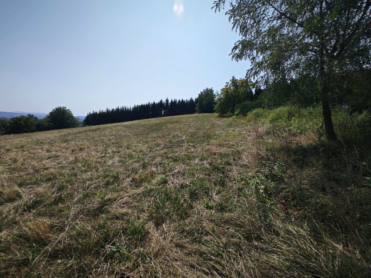 Grosses Grundstück oberhalb von Zalaszentgrot mit Fernsicht (CM134-2)