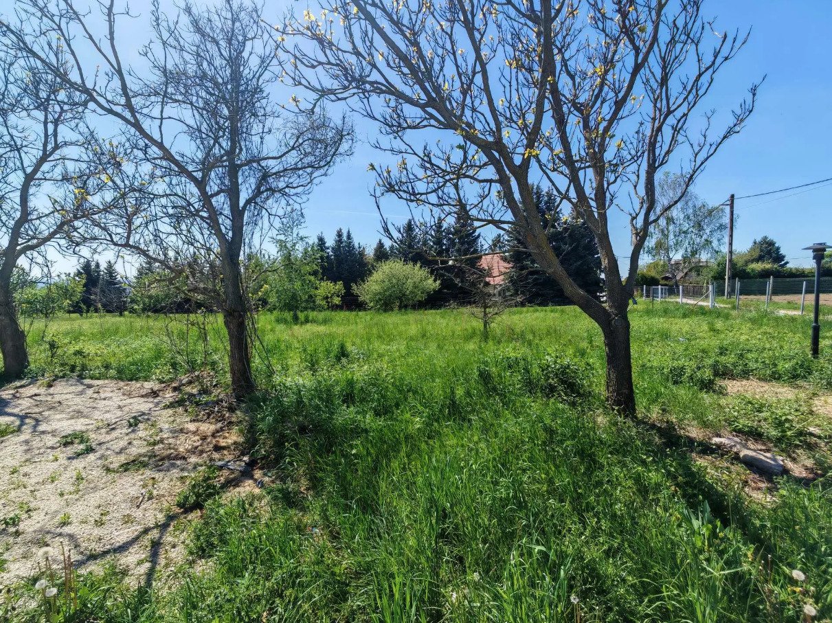 (ABA) Doppel-Grundstück mit Balatonblick & großem Wohnhaus