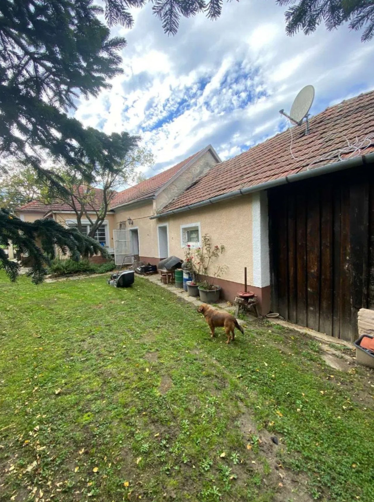(AAA) Saniertes Landhaus mit schön eingewachsenem Grundstück in Westungarn (CM1710)