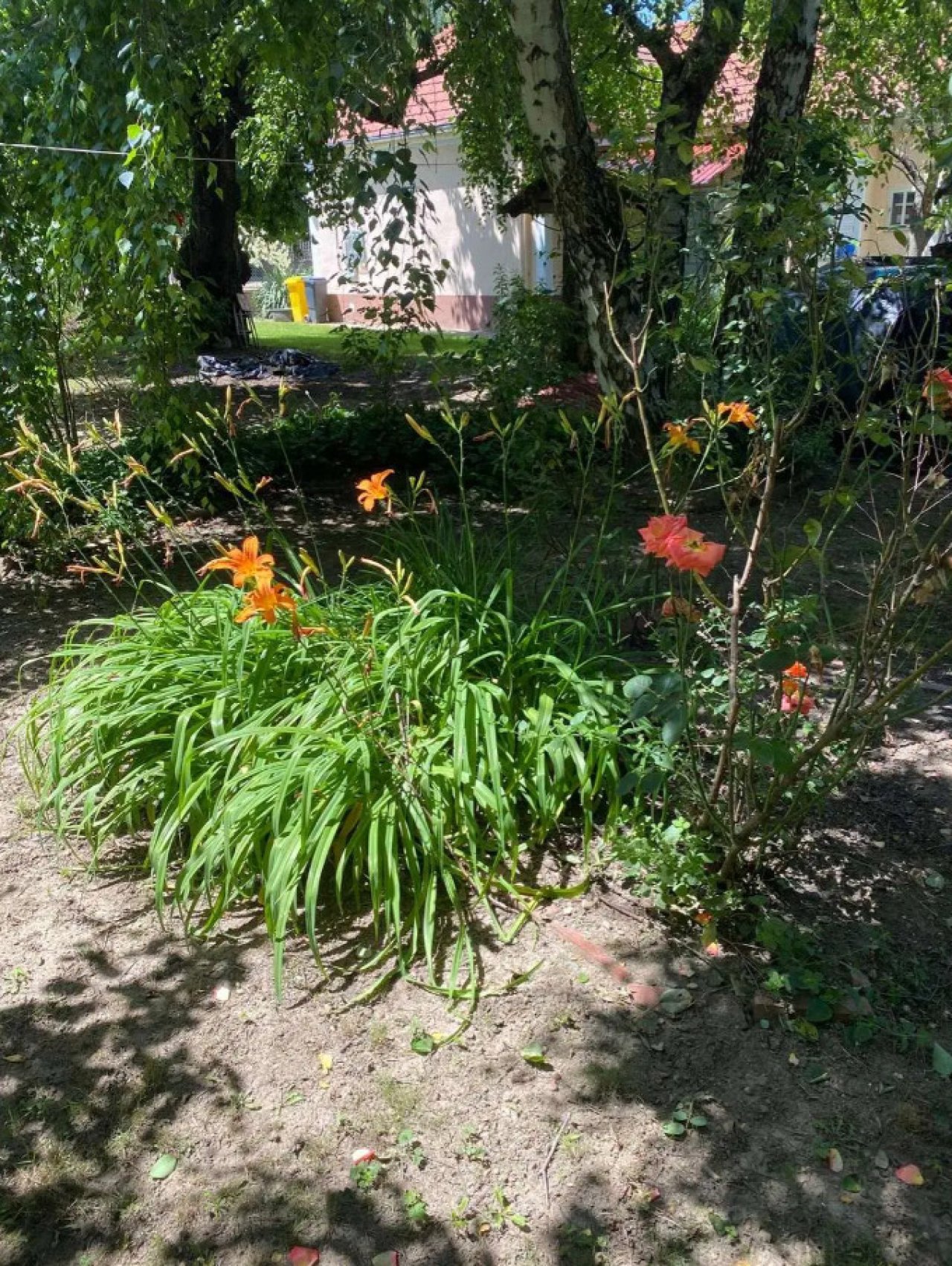 (AAA) Saniertes Landhaus mit schön eingewachsenem Grundstück in Westungarn (CM1710)