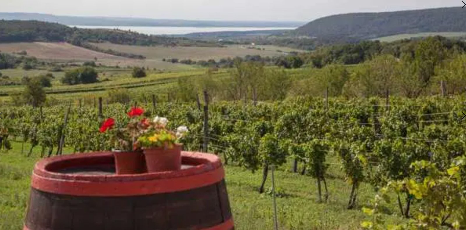 Private Luxury Lifestyle Estate – sofort bezugsfertiges Naturrefugium (FAL7071)