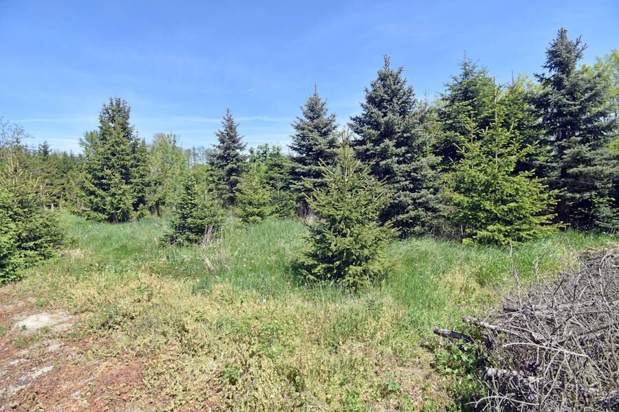 (BBA) Haus in ruhiger Strassse, 800 Meter vom Gyékényes-See entfernt (FER1800)