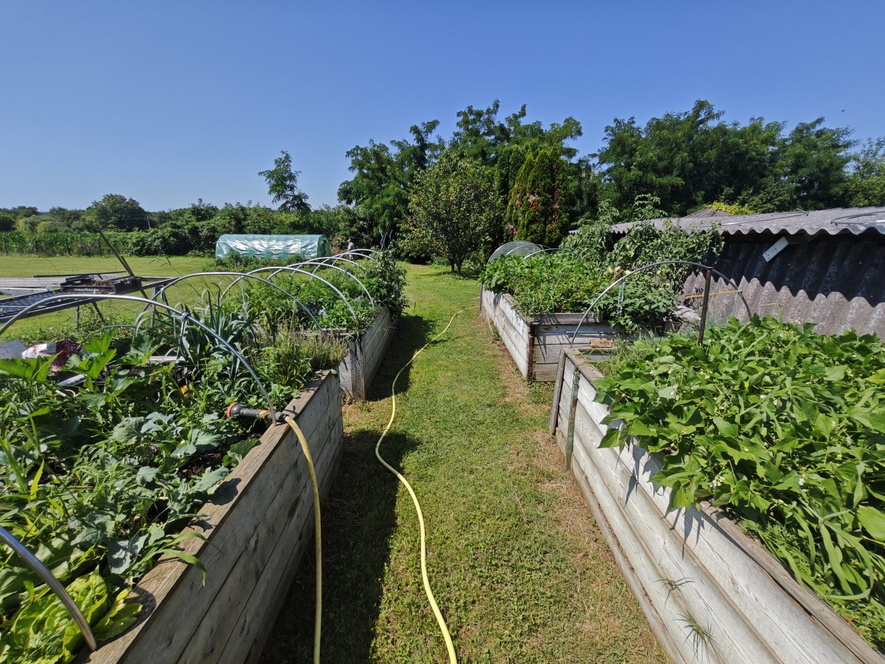 (BBB) Landhaus / Bauernhaus mit fantastischem Bauerngarten ideal für Selbstversorger