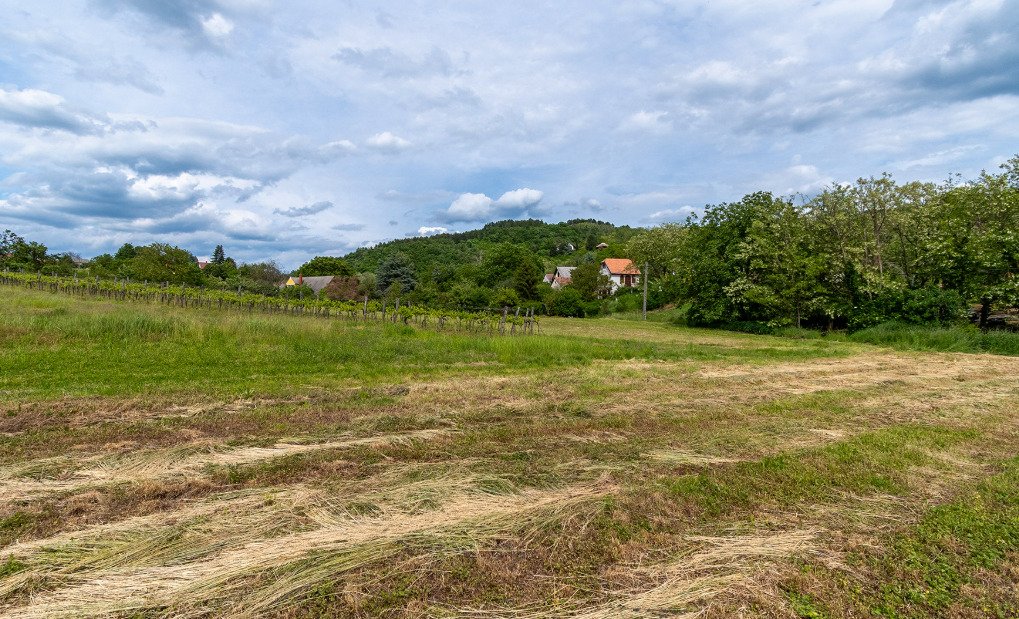 (BCA) Weinberghaus in ruhiger Lage bei Héviz, mit grossen Grundstück (77613)