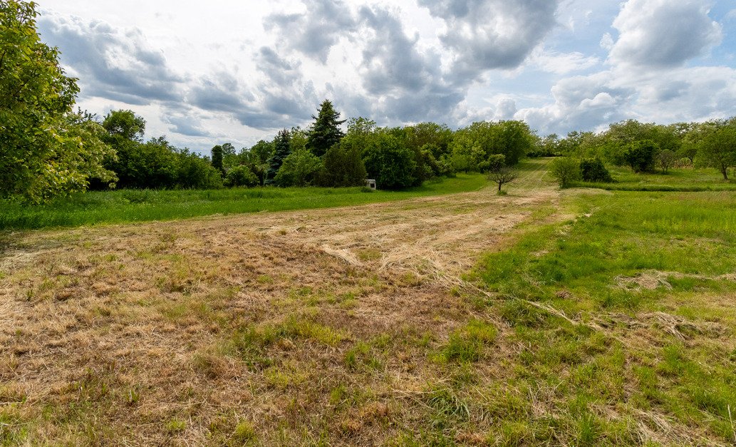 (BCA) Weinberghaus in ruhiger Lage bei Héviz, mit grossen Grundstück (77613)