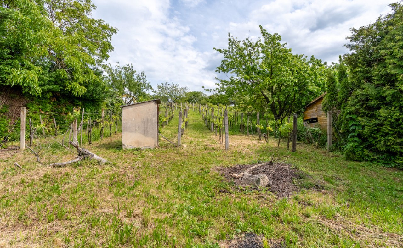 (BCA) Weinberghaus in ruhiger Lage bei Héviz, mit grossen Grundstück (77613)