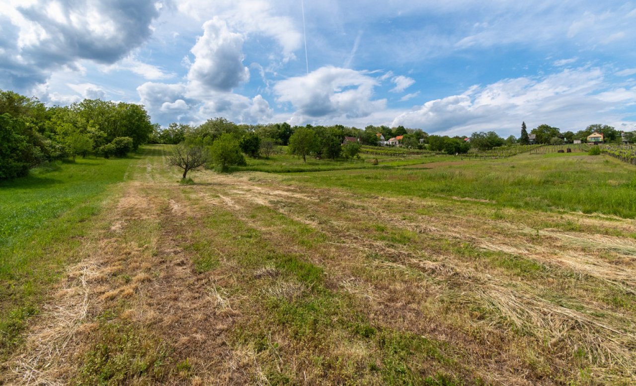 (BCA) Weinberghaus in ruhiger Lage bei Héviz, mit grossen Grundstück (77613)