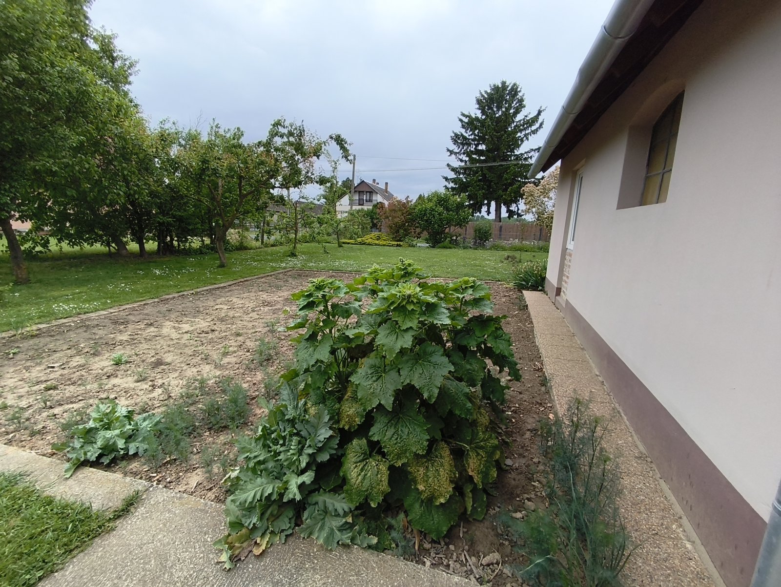 (BAA) Top-Landhaus & großes Grundstück in ruhiger Lage (KK0452)
