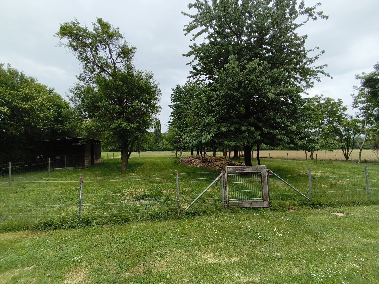 (BAA) Top-Landhaus & großes Grundstück in ruhiger Lage (KK0452)