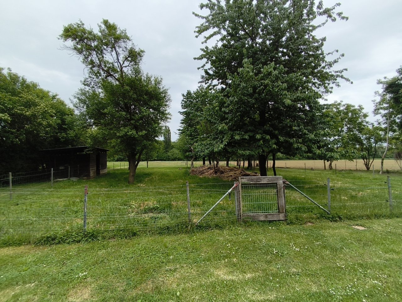 (BAA) Top-Landhaus &amp; großes Grundstück in ruhiger Lage (KK0452)