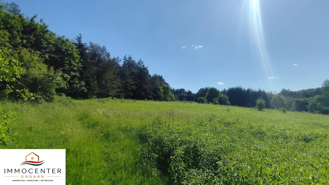 (B_A) Echte Rarität! 2,8 Hektar in einzigartiger Umgebung am Nationalpark