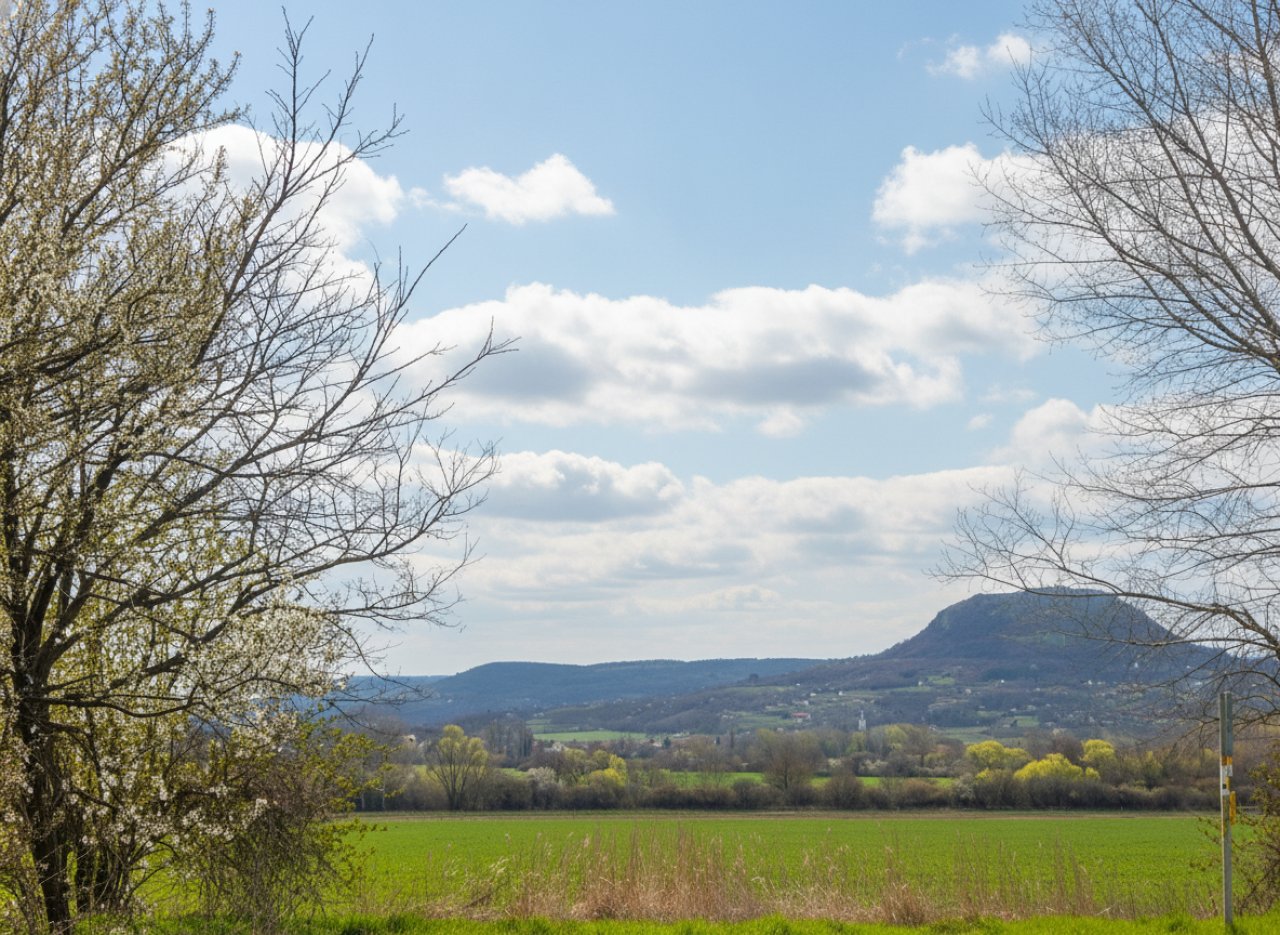 (ABA) Weinberg Pinze mit Panoramablick (EH009)