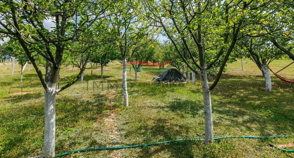 (AAA) Landhaus in ruhiger Weinberglage bei Tapolca (33471)